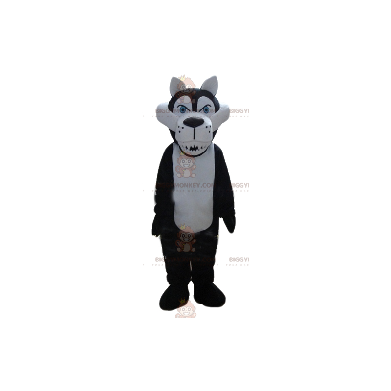 Fel uitziende witte en zwarte wolf BIGGYMONKEY™ mascottekostuum