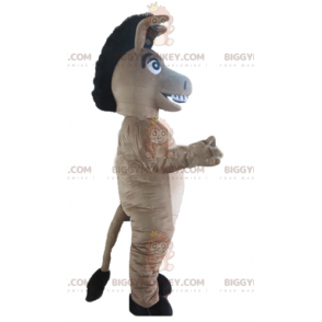 Bonito Traje de Mascote de Burro Cinza Cinza e Burro