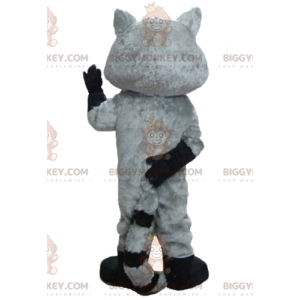 Traje de mascote BIGGYMONKEY™ Guaxinim tricolor com olhos azuis