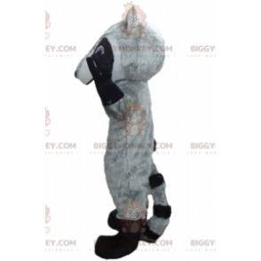 BIGGYMONKEY™ Mascot Costume Tricolor Raccoon with Blue Eyes –