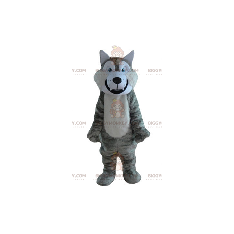 Disfraz de mascota de lobo gris y blanco suave y peludo