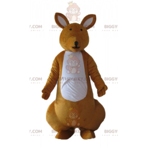 Fato de mascote canguru laranja e branco de muito sucesso