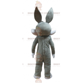 Looney Tunes Famoso conejo gris Bugs Bunny Disfraz de mascota
