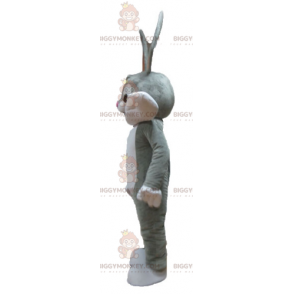 Looney Tunes Famoso conejo gris Bugs Bunny Disfraz de mascota