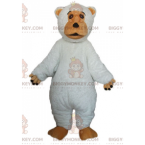 Traje de mascote de urso branco e marrom bonito e gordo