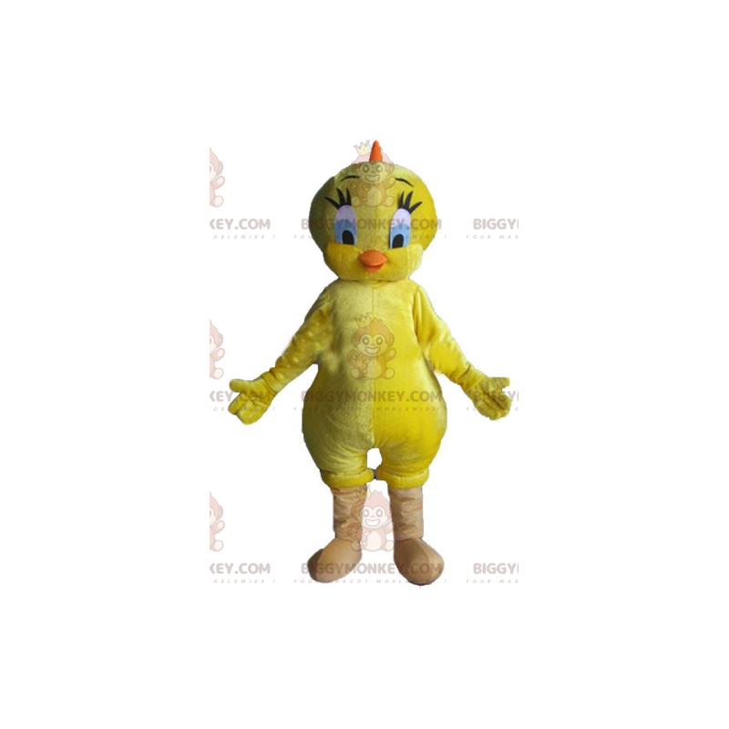 Στολή μασκότ του Looney Tunes Famous Yellow Canary Tweety