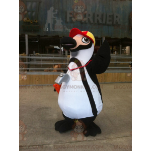 Mustavalkoinen pingviini BIGGYMONKEY™ maskottiasu lippalla -
