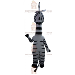 BIGGYMONKEY™ mascot costume of Marty the famous zebra from the