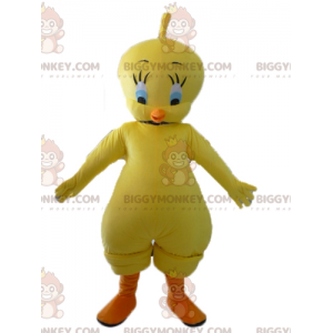 Looney Tunes Famous Yellow Canarische Tweety BIGGYMONKEY™