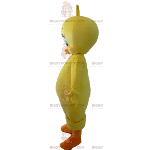 Kostium maskotki Looney Tunes Słynny żółty kanarek Tweety