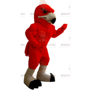 Bardzo muskularny kostium maskotki czerwonego orła BIGGYMONKEY™