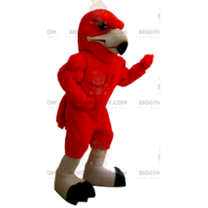 Costume mascotte BIGGYMONKEY™ Aquila rossa molto muscoloso -