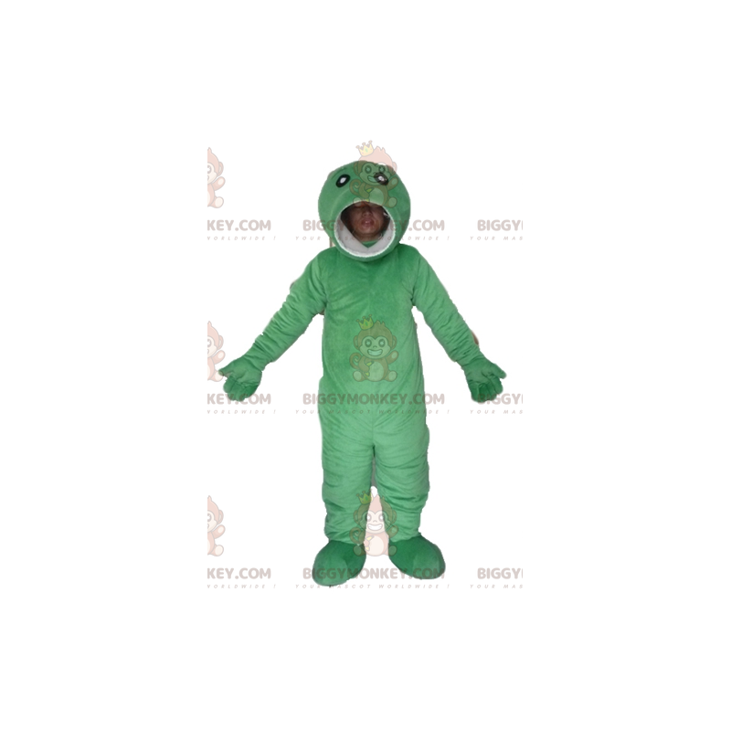 Originale e divertente costume mascotte grande pesce verde