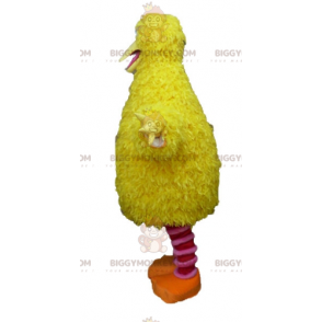 BIGGYMONKEY™ Κίτρινη και ροζ μασκότ πουλιών Μαλακή και γούνινη