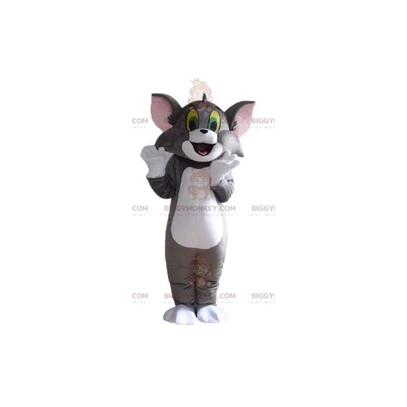 Traje de mascote BIGGYMONKEY™ de Tom, o famoso gato cinza e