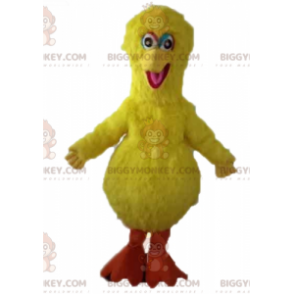 Costume della mascotte del famoso uccello giallo di Sesame