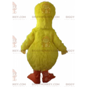 Costume della mascotte del famoso uccello giallo di Sesame