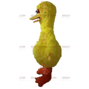 Costume della mascotte del famoso uccello giallo di Sesame