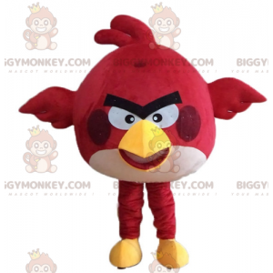 Röd fågel BIGGYMONKEY™ maskotdräkt från det berömda spelet