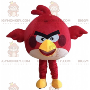 Red bird BIGGYMONKEY™ maskotkostume fra det berømte spil Angry