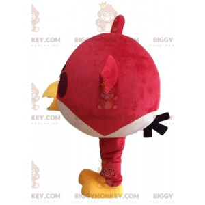 Costume de mascotte BIGGYMONKEY™ d'oiseau rouge du jeu Angry