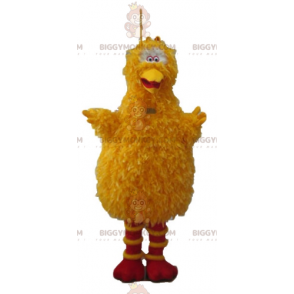 Costume della mascotte del famoso uccello giallo di Sesame