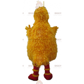 Costume della mascotte del famoso uccello giallo di Sesame