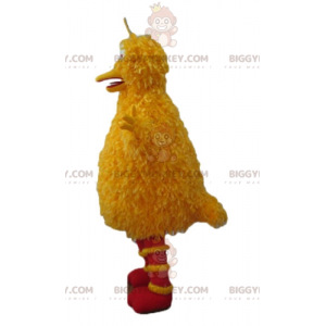 Costume della mascotte del famoso uccello giallo di Sesame