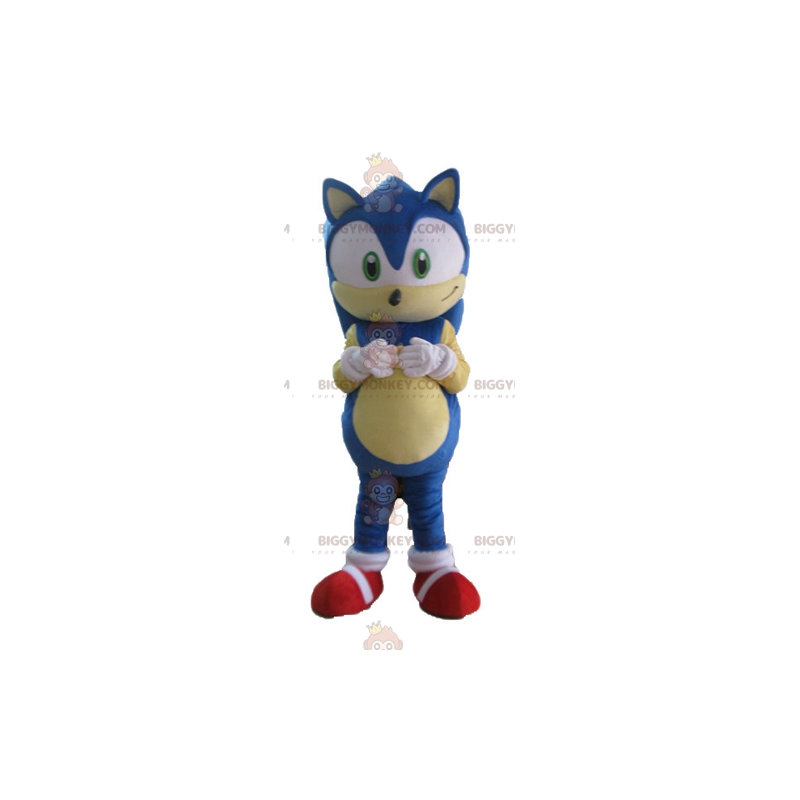 Traje de mascote BIGGYMONKEY™ de Sonic, o famoso videogame Blue