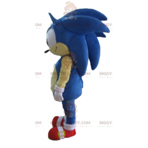 Costume de mascotte BIGGYMONKEY™ de Sonic le hérisson bleu de