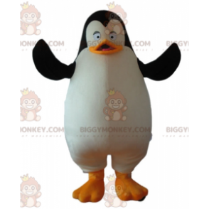 Kostým maskota tučňáka BIGGYMONKEY™ z karikatury Tučňáci z