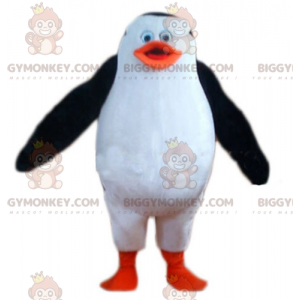 Traje de mascote de pinguim BIGGYMONKEY™ do desenho animado Os