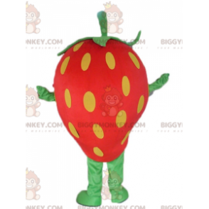 Jättiläinen punainen keltainen ja vihreä mansikka BIGGYMONKEY™