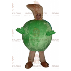 All-round kæmpe grønt æble BIGGYMONKEY™ maskotkostume -