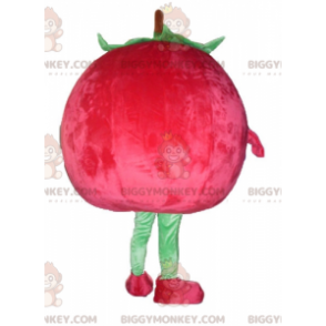 Disfraz de mascota BIGGYMONKEY™ gigante rojo y verde fresa