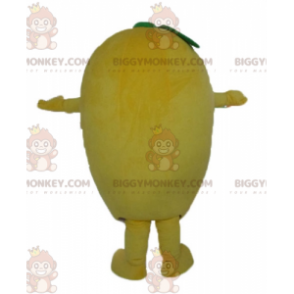 Jätte rolig citron BIGGYMONKEY™ maskotdräkt - BiggyMonkey maskot
