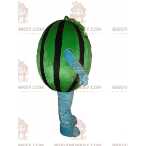 Costume da mascotte gigante verde e nero Anguria BIGGYMONKEY™ -