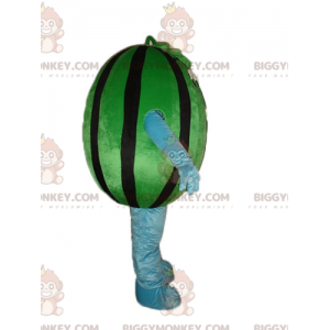 Giant Green and Black Watermelon BIGGYMONKEY™ Mascot Costume –
