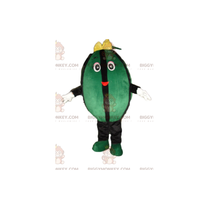 Obří kostým maskota ze zeleného a černého vodního melounu
