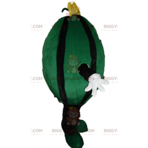 Obří kostým maskota ze zeleného a černého vodního melounu