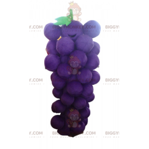 Traje de mascote gigante roxo e verde de cacho de uvas