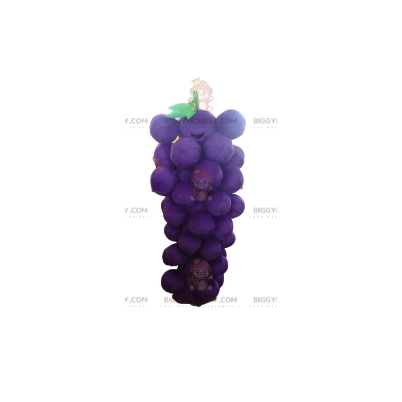 Purple and Green Giant Bunch of Grapes BIGGYMONKEY™ Mascot