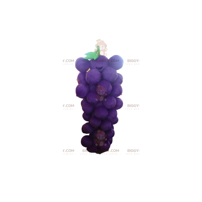 Violetti ja vihreä jättiläinen viinirypälenippu BIGGYMONKEY™
