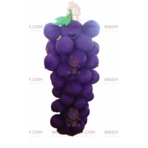 Costume de mascotte BIGGYMONKEY™ de grappe de raisin géante