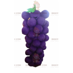 Violetti ja vihreä jättiläinen viinirypälenippu BIGGYMONKEY™