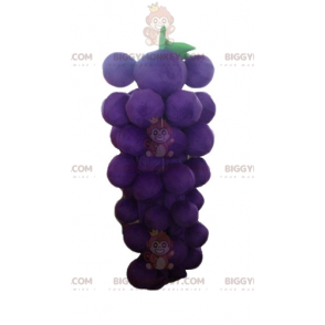 Disfraz de mascota Racimo de uvas gigante morado y verde