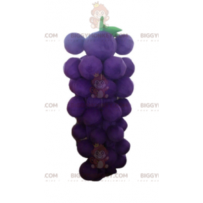 Purple and Green Giant Bunch of Grapes BIGGYMONKEY™ Mascot