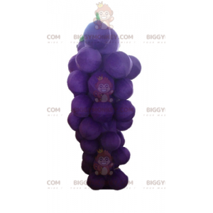 Disfraz de mascota Racimo de uvas gigante morado y verde