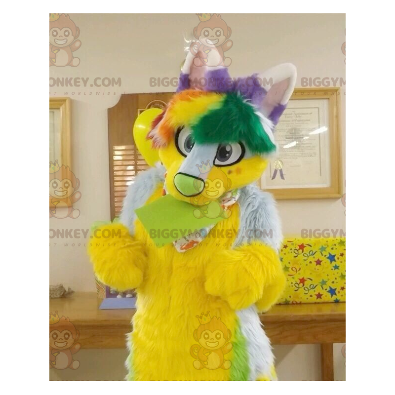 Traje de mascote de gato peludo verde amarelo e roxo