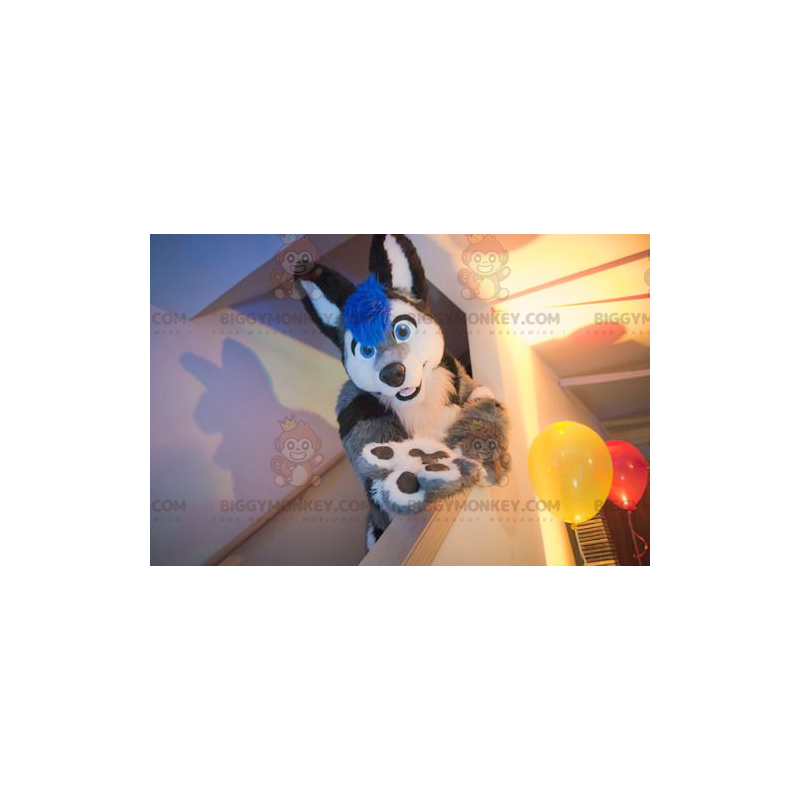 BIGGYMONKEY™ Hond Kat Mascotte Kostuum Grijs Zwart Wit en Blauw